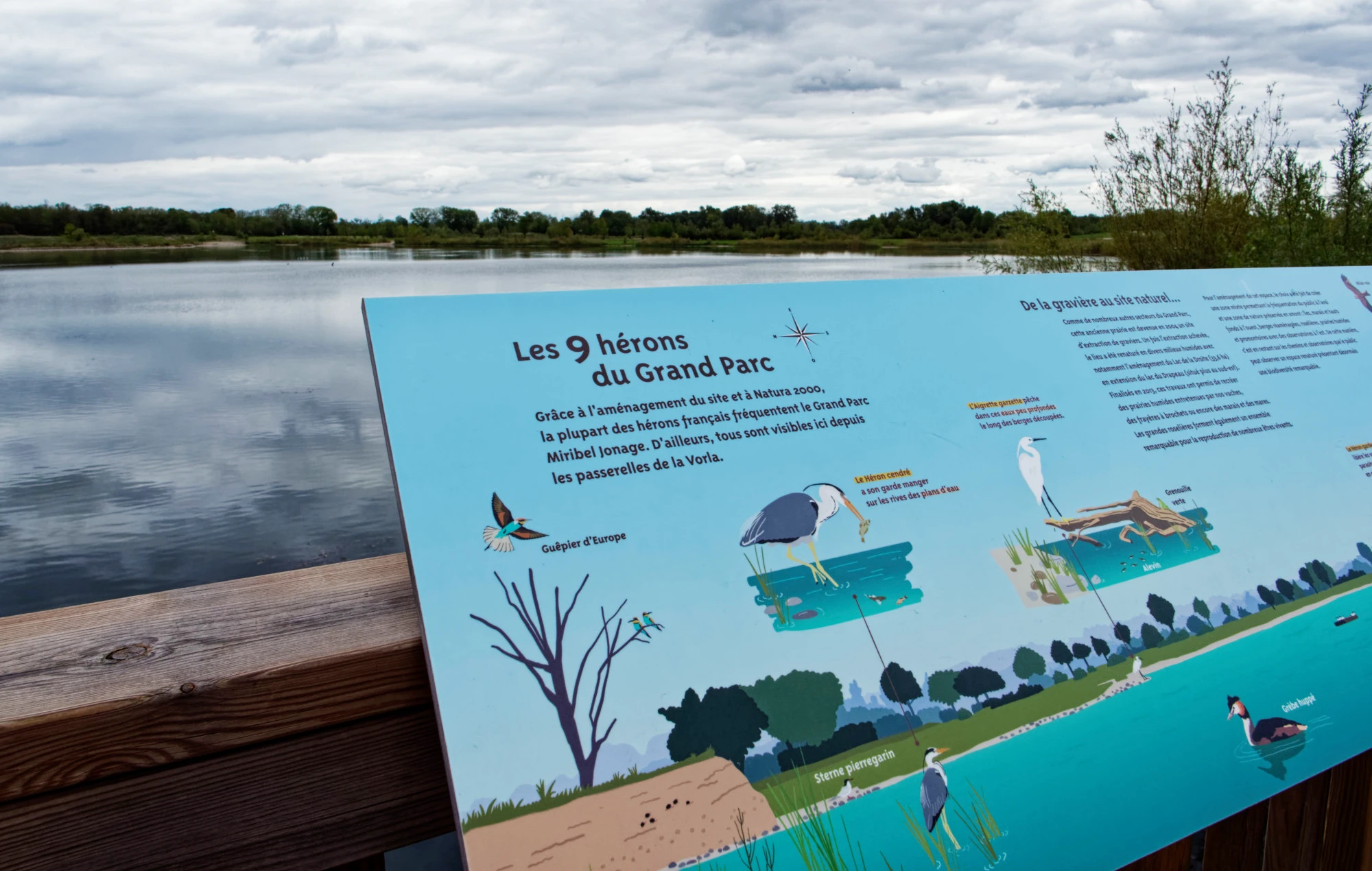 Photographie d'un panneau sur un sentier d'interprétation "les 9 hérons du Grand Parc", réalisé par Emma Lidbury de Tadaa, et situé au nord de Lyon