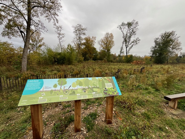 panneau didactique installé au Cloizu devant la future foret alluviale