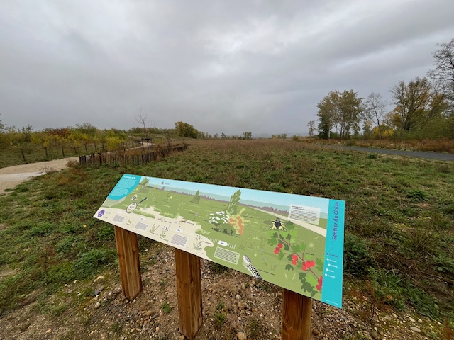 détail d'une illustration dans la mare